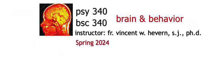 PSY/BSC 340 Brain & Behavior