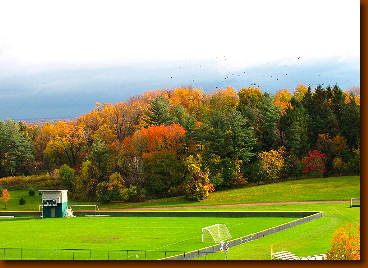[Oct.
                  2010 Fall Colors at Le Moyne]