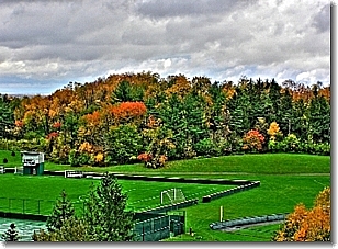 LMC 10/16/08
                  Fall Colors