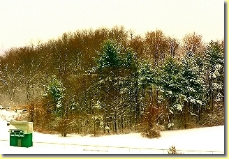 [Winter
                Hill JesRes]