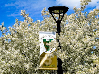 Le Moyne's 75h
                  Anniversary