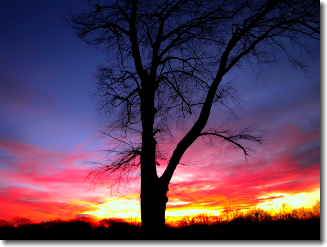 [After
                  Sunset - Fairfield, CT]