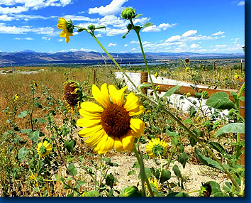 Front Range
                    of the Rockies (Boulder, CO)