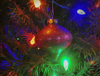 Christmas
                  Ornament