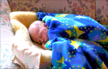 Wyatt at
                  Christmas
