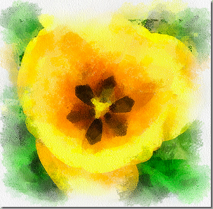 Yellow Flower in New Hampshire (Painted)