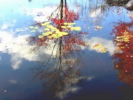 Pond in Autumn, 2004