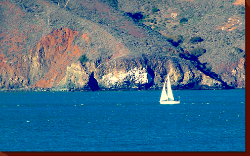 Sailing in the Golden Gate, CA