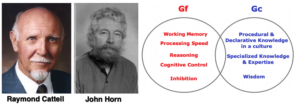 Cattell & Horn's Gf and Gc