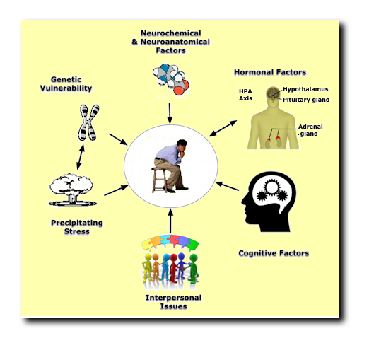 Factors in Mood Disorders