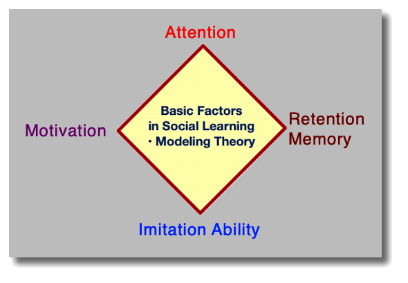Factors in Social Learning