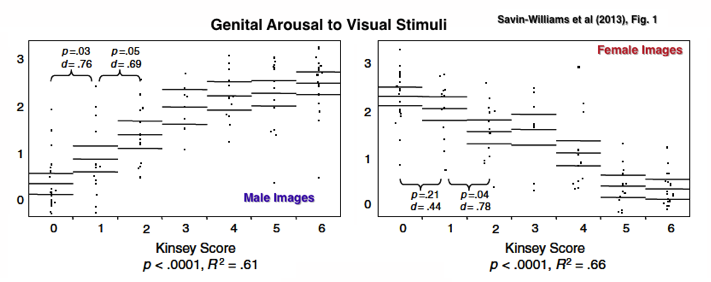 Genital arousal to visual stimuli