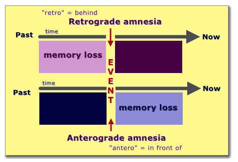 Retrograde
                & Anterograde Amnesia