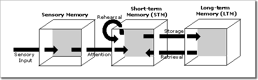 [Atkinson & Shifrin Model]