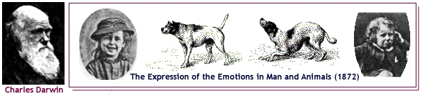 [Darwin & Emotions]
