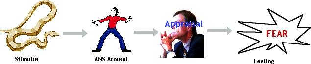 [Emotion
            - Schachter Theory]