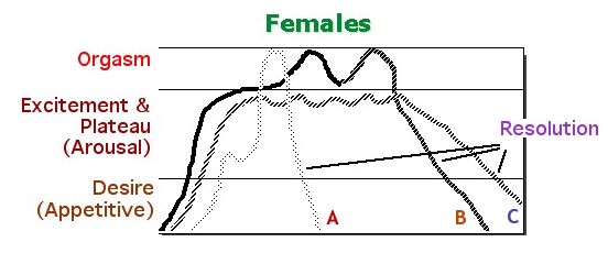 [Human Sexual Response
                  Cycle: Female]