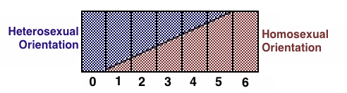 Kinsey Sexual
            Orientation Scale