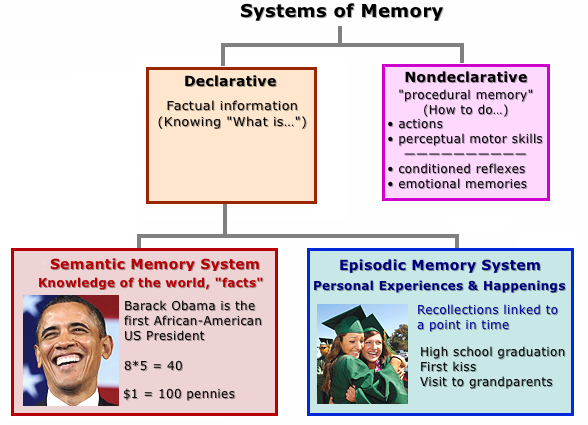 Systems of Memory