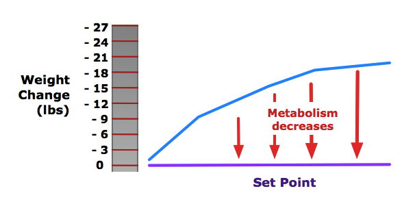 set
            point metabolism