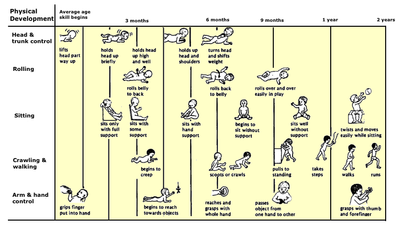 motor
        development norms