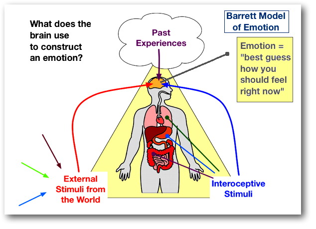 Barrett's Theory of Constructed Emotion