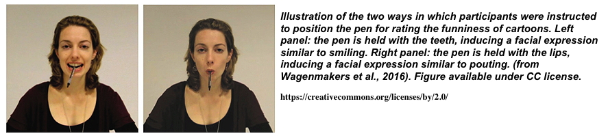 Facial Feedback
Hypothesis