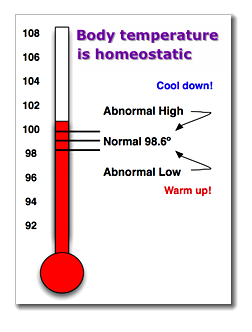Body temperature as
                      homeostatic