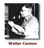 Cannon