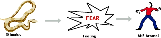 [Emotion - Popular Notion]