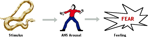 [Emotion
            - James-Lange Theory]