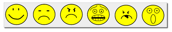 [6
            Faces]