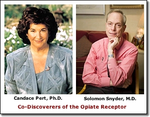 (Pert & Snyder)