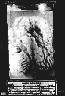[Tan's Brain]