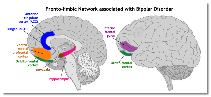 fronto-limbic network in
        bipolar disorder