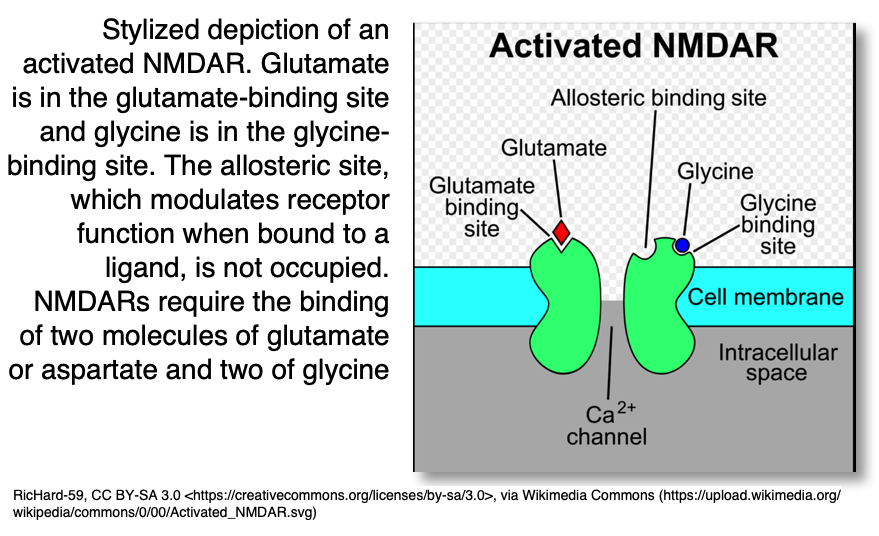 NMDAR