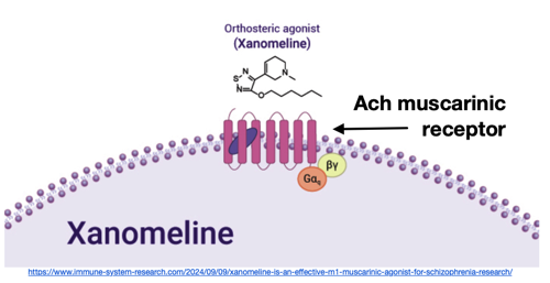 xanomelne