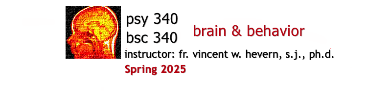 PSY/BSC 340 Brain and Behavior