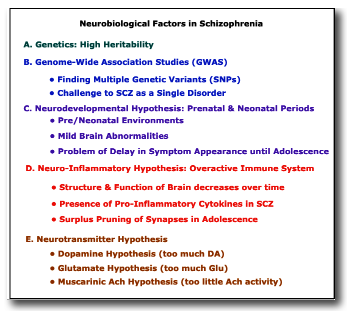 Neurobiological factors in SCZ
