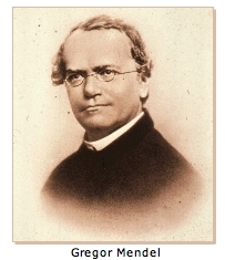 [Gregor Mendel]