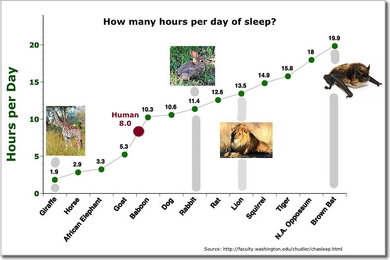 [Animal Sleep Times]