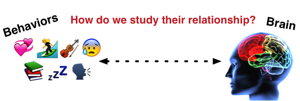 Brain vs. Behaviors