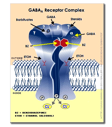 [GABAa Receptor Complex Diagram]