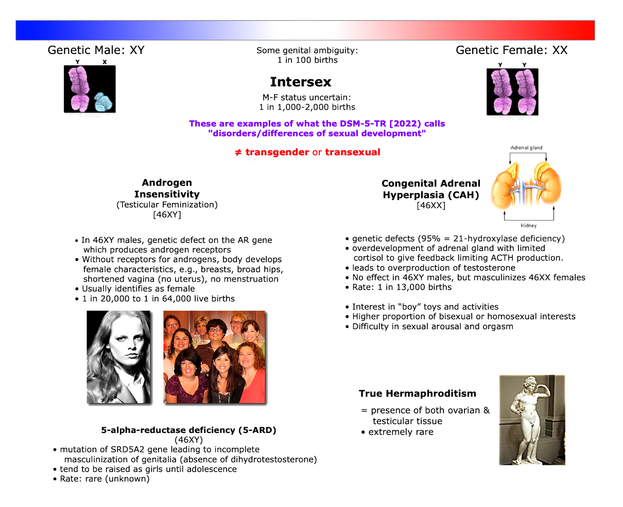 Intersex
          Chart