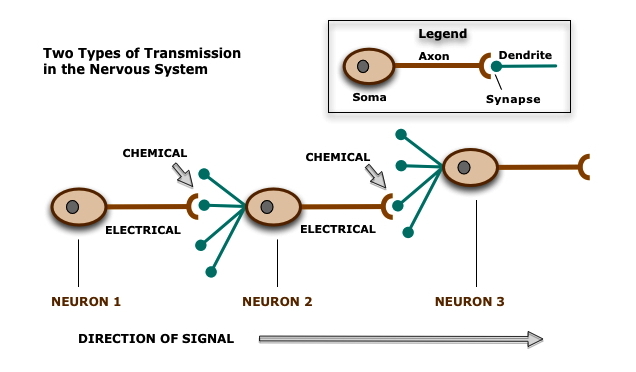 [Types of Transmission]
