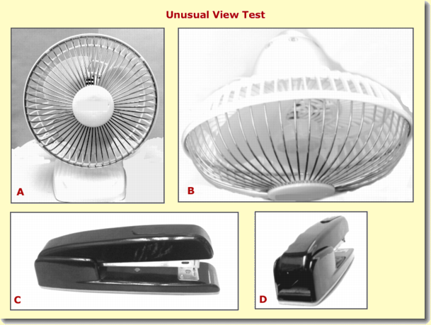 [Unusual Point of View Test]