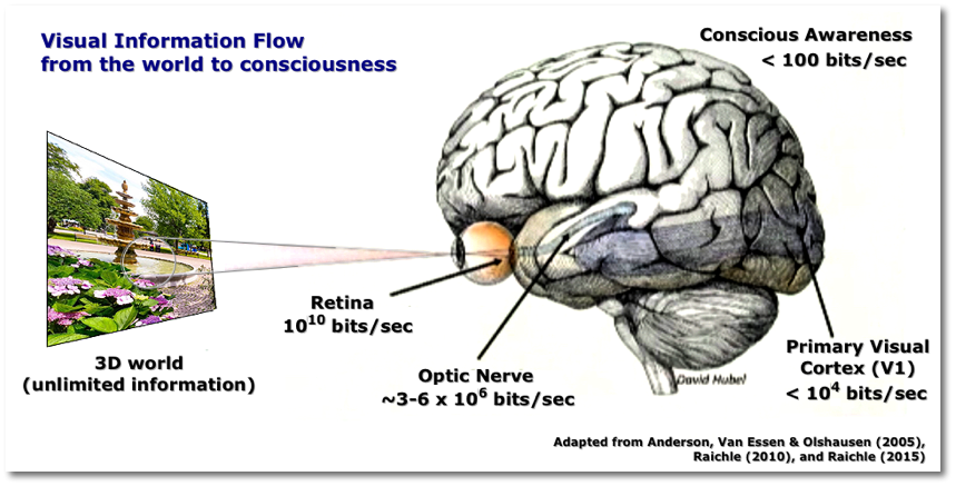 Visual Information Load