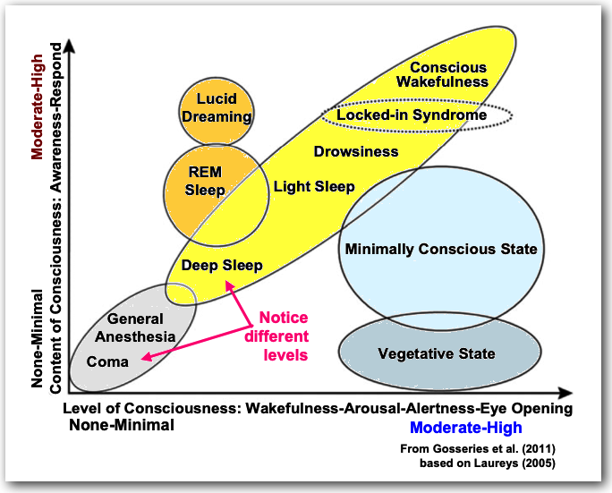 Levels of consciousness