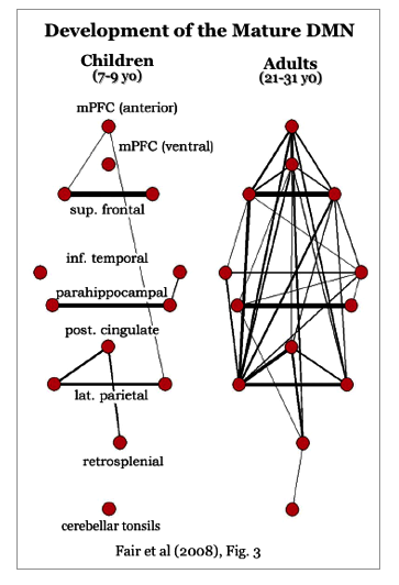 Development
                  of the DMN