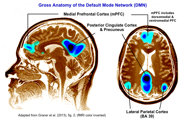 Default
                      Mode Network